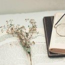 Trick or Treat? The Funniest and Most Unexpected Translation Fails Ever Recorded