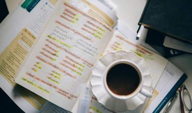 Lost in Translation? 5 Surprising Facts About How Words Travel the World