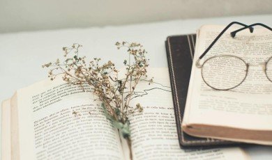 Trick or Treat? The Funniest and Most Unexpected Translation Fails Ever Recorded